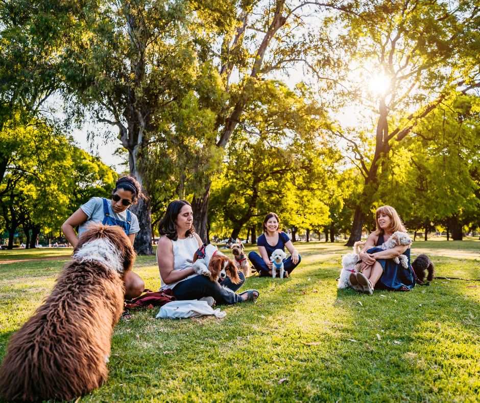 młodzi ludzie ze swoimi psami siedzą na trawie w parku